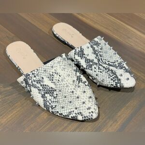 Quipd Snakeskin Studded Mules | Women’s 8.5